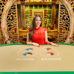 ব্যাক বো cd666