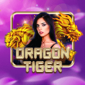 ড্রাগন টাইগার লাক cd666